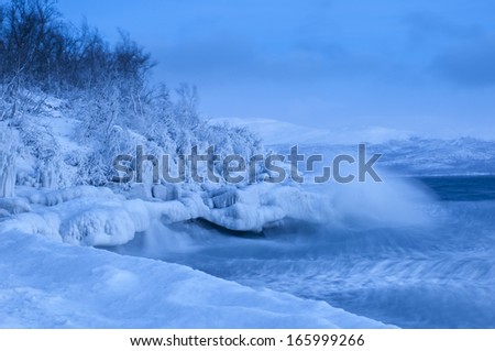 frozen stormy Landscape with high waves at the lake Tornetraesk, Lapland, Sweden