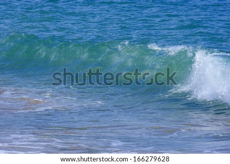 Breaking wave, a wave breakes in the vincinity of the beach, Bay of Islands, Northland, North Island, New Zealand