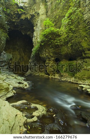 Cave Tunnel, Ruakuri Bush and Scenic Reserve, Waitomo, King Country, Northland, New Zealand