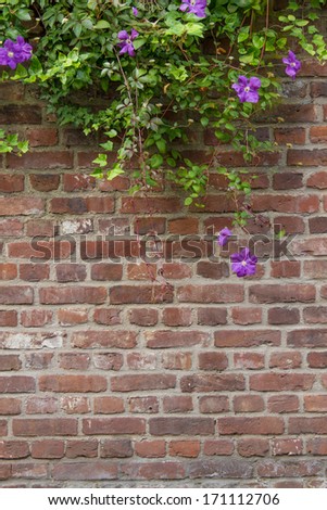Wall of bricks with flower