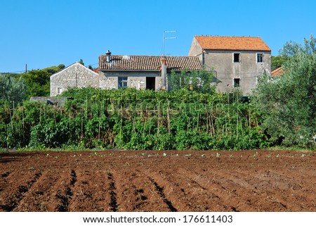 Old farmhouse with field of vegetables