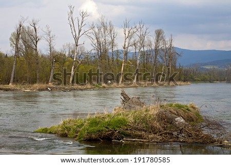 Nature conservation area Isar Mouth, Bavaria, Ger
