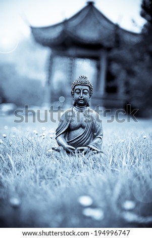 Buddha Meditation in the Garden