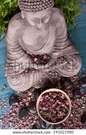 Buddha Wellness Meditation