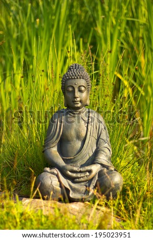 Buddha Meditation by the Water