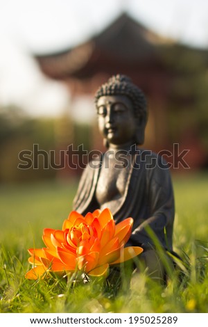 Buddha wellness meditation in nature