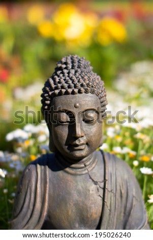Buddha Meditation in a field of flowers