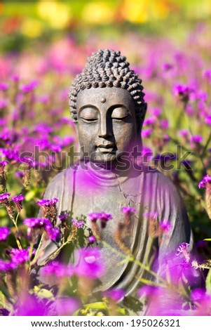 Buddha Meditation in a field of flowers