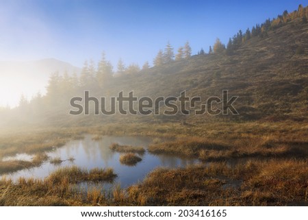 Upland moor in the Fog, Zillertal Valley, Tyrol