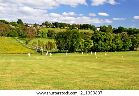 Cricket on a summer evening