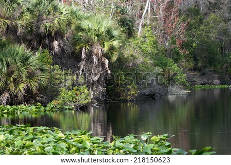 Blue Spring, Florida, USA