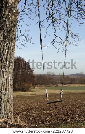 swing on a tree