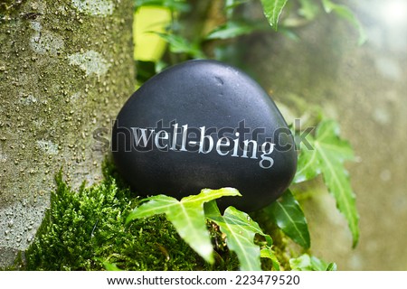 The Word  well-being on a stone in nature