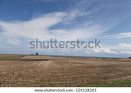 Field and Sea
