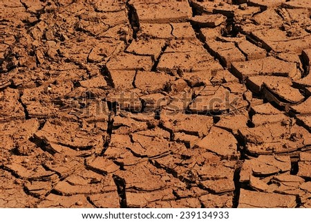 Drought and the dried out ground