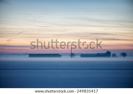 ground fog at the end of a winter day
