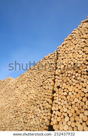 forestry and wood industry