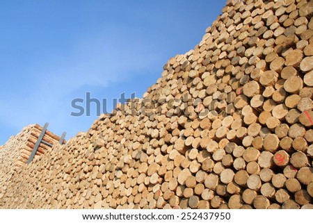 forestry and wood industry