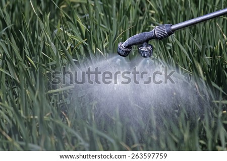 Close Up of a Crop Sprayer, nozzle spraying fertilizer on crop
