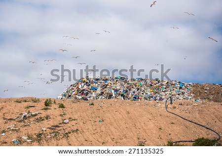 garbage dump