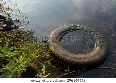 Car tire in the water