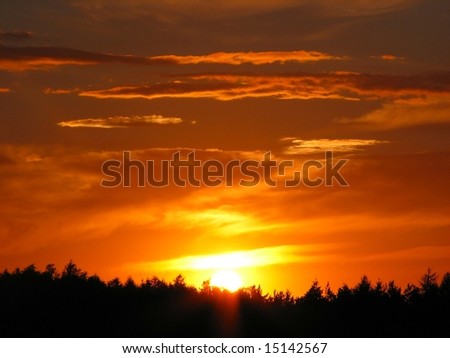 a forest silhouette beneath a dramatic cloudy sky at sunset
