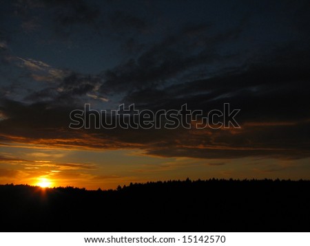 a forest silhouette beneath a dramatic cloudy sky at sunset