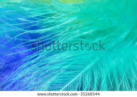 abstract feather texture