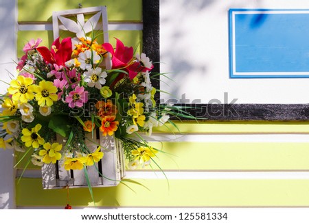 beautiful flower on the soft yellow background