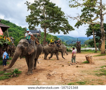 Chiangrai Thailand-November 15: tourist come visit  and ride elephant sightseeing  around Karen Elephant hill tribe village on November 15,2013 in,Chiangrai,Thailand. The amazing trip in Chiangrai