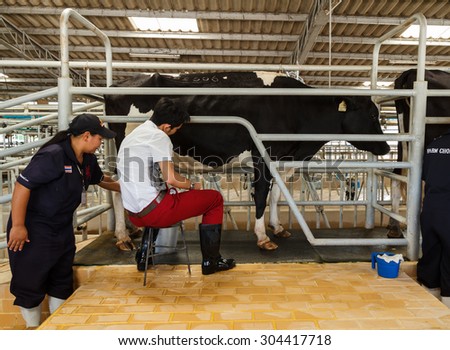 Nakhonratchasima,Thailand- August 11, 2014 :Chokchai \'s authority show milking from milk cow in livestock housing at Chokchai farm  Pakchong, Nakhonratchasima , Thailand.