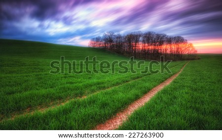 Agricultural green field at sunset