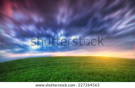 Agricultural green field at sunset.