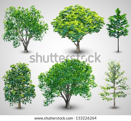Realistic Tree Set with Sunlight EPS10 Vector Realistic Tree Set with Sunlight EPS10 Vector