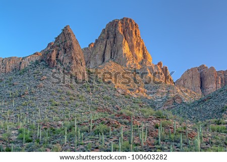 Spring landscape of the Superstition Mountains at sunrise with saguaro cactus , Arizona, USA