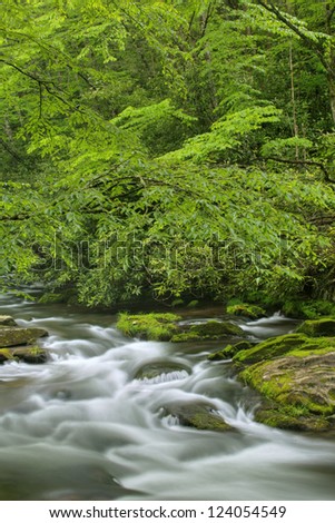 Spring landscape of the Oconaluftee River framed by branches and captured with motion blur, Great Smoky Mountains National Park, North Carolina, USA