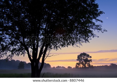 Sunrise Al Sabo Meadow in fog and with silhouetted trees, Michigan, USA