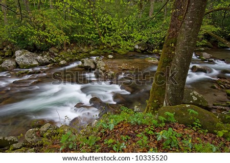 Big Creek, early spring, Great Smoky Mountains National Park, Tennessee, USA