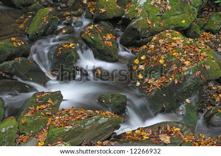Roaring Fork Creek and moss covered rocks, autumn, Great Smoky Mountains National Park, Tennessee, USA