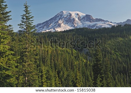 Landscape of Mt. Rainier and conifer forest, Mt. Rainier National Park, Washington, USA