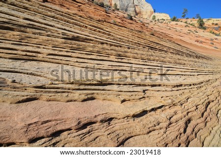 Landscape of exposed, weathered rock surface, Zion National Park, Utah, USA