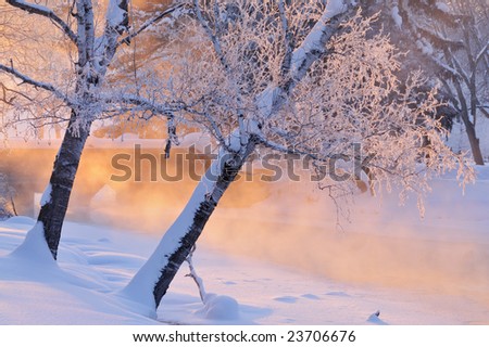 Foggy winter landscape with frosted trees at sunrise Portage Creek, Milham Park, Michigan, USA
