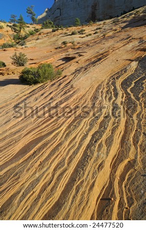Landscape of exposed, weathered rock surface, Zion National Park, Utah, USA