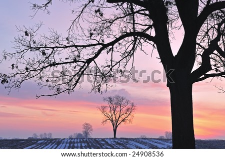 Bare trees in a rural winter landscape silhouetted against a colorful dawn sky, Michigan, USA