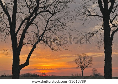 Bare trees in a rural landscape silhouetted against a colorful dawn sky, Michigan, USA
