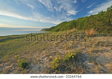 Summer landscape of the Lake Michigan shoreline at Sleeping Bear Dunes National Lakeshore, Michigan, USA