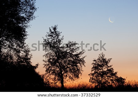Landscape of silhouetted trees with crescent moon and dawn sky