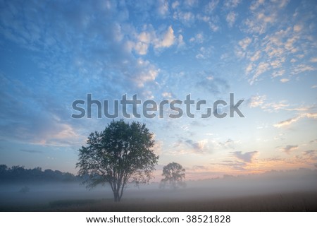 Foggy landscape at dawn of a summer meadow with dramatic sky and silhouetted trees, Michigan, USA