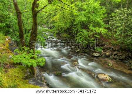Summer landscape of the Little River rapids, Great Smoky Mountains National Park, Tennessee, USA