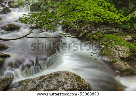 Summer landscape of a cascade on the Little River, Great Smoky Mountains National Park, Tennessee, USA